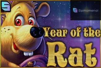 Year Of The Rat